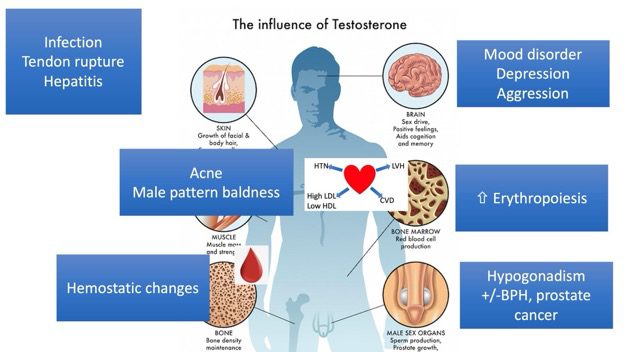 10 Risiko Serius bagi Lelaki yang Menggunakan Suntikan Testosteron Dos Tinggi untuk Pembentukan Otot