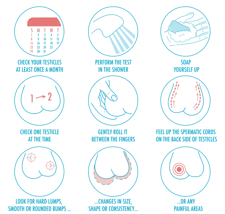 Cara Buat Pemeriksaan Sendiri Buah Zakar dan Bila Perlu Jumpa Doktor?